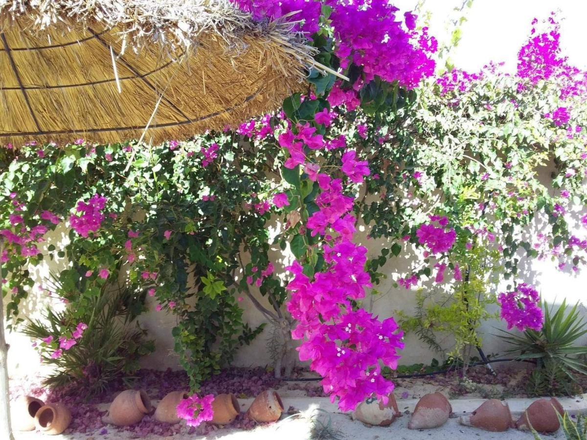 דירות חומט סוק Dar Janis Djerba دار يانيس جربة חדר תמונה