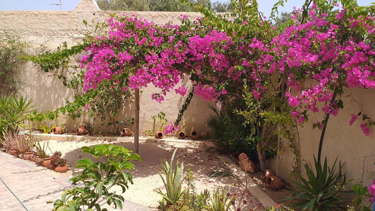 דירות חומט סוק Dar Janis Djerba دار يانيس جربة מראה חיצוני תמונה